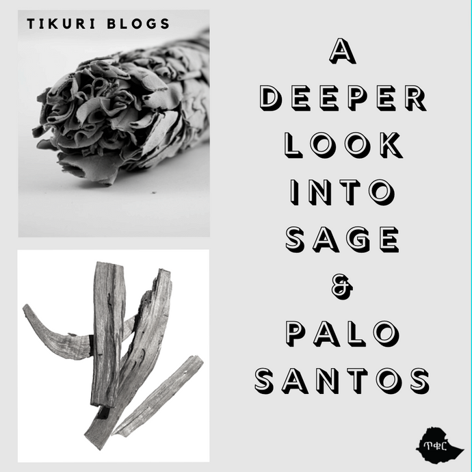 A Deeper Look Into Sage & Palo Santos